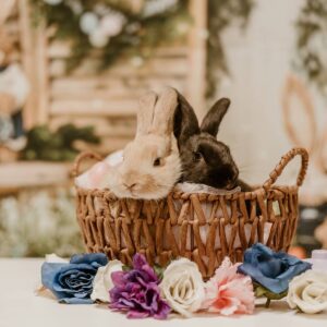 Easter Pictures with Bunnies